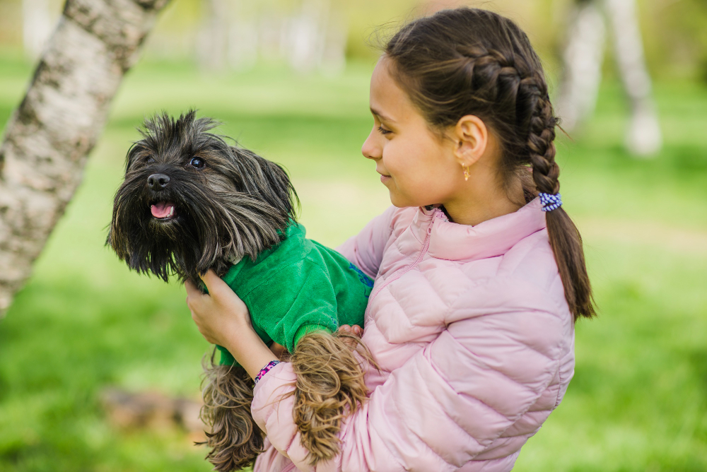 Benefícios do banho e tosa para a saúde dos animais de estimação 2 Creche Legal de Cachorro preco