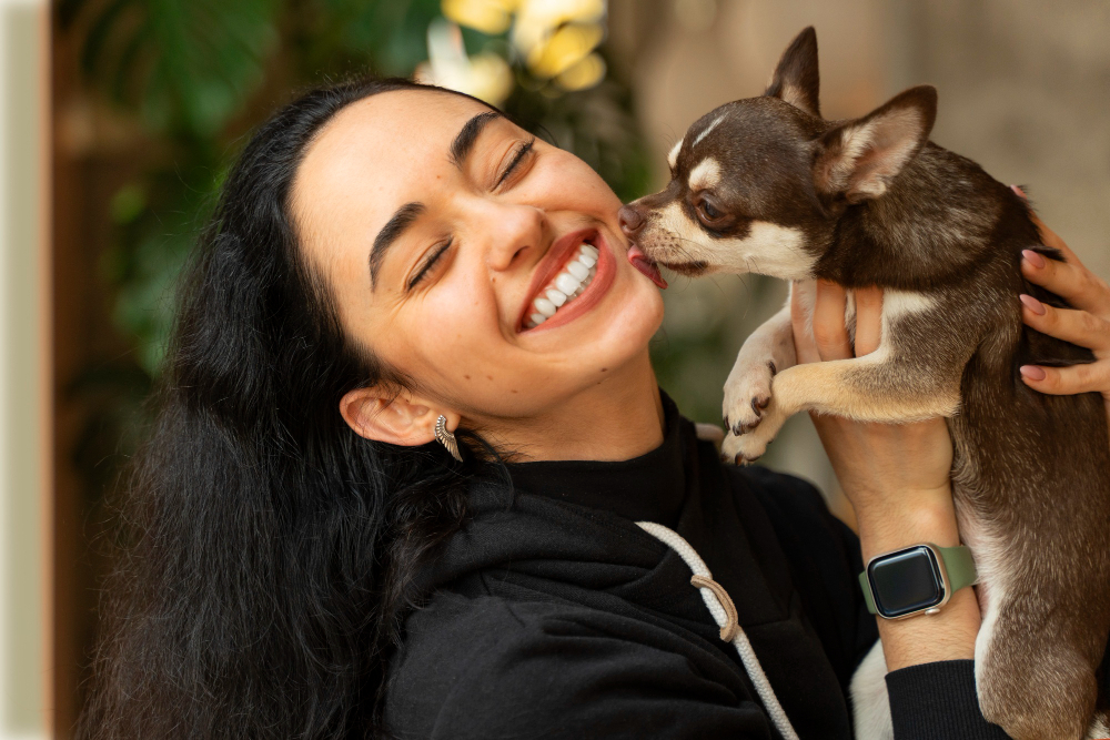 Benefícios do banho e tosa para a saúde dos animais de estimação 4 cachorro chihuahua adoravel com dona do sexo feminino